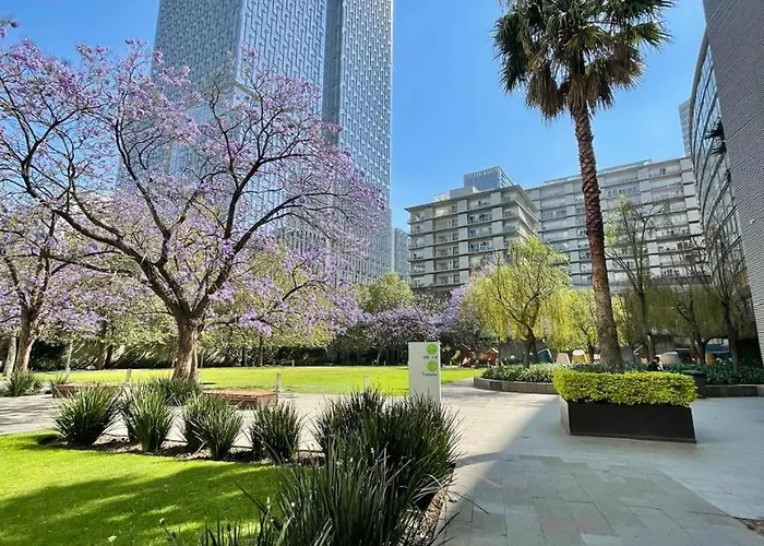 Luxury In Polanco *